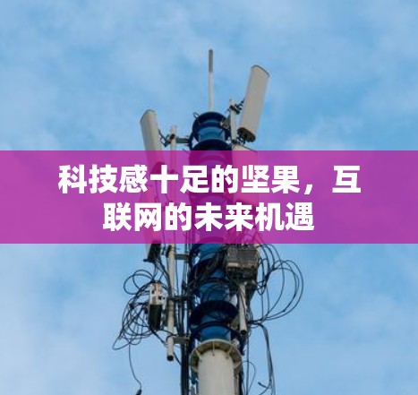 科技感十足的坚果，互联网的未来机遇