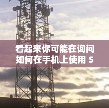 看起来你可能在询问如何在手机上使用 SS 科学计算网站，或者你可能在询问如何在手机上安装某些特定的软件或插件。以下是一些可能的解释和帮助