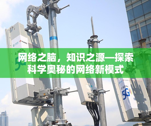 网络之脑，知识之源—探索科学奥秘的网络新模式