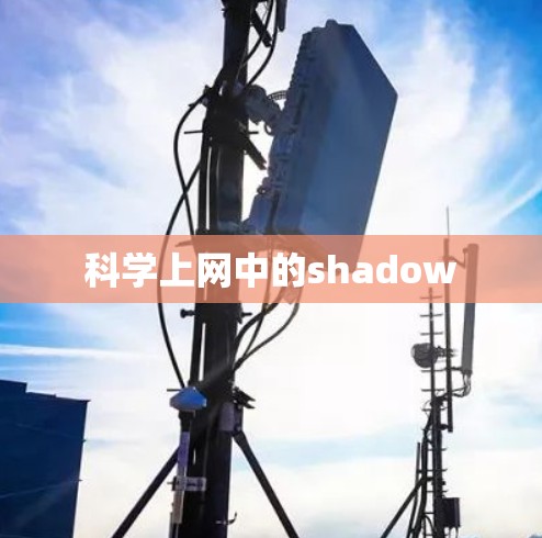 科学上网中的shadow