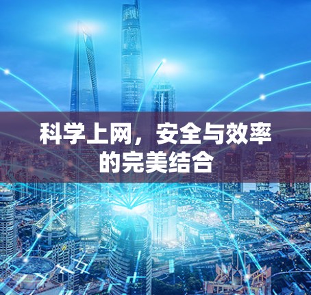科学上网，安全与效率的完美结合