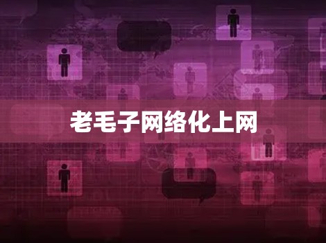 老毛子网络化上网