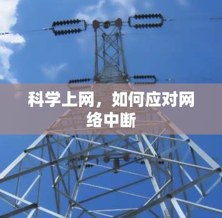 科学上网，如何应对网络中断
