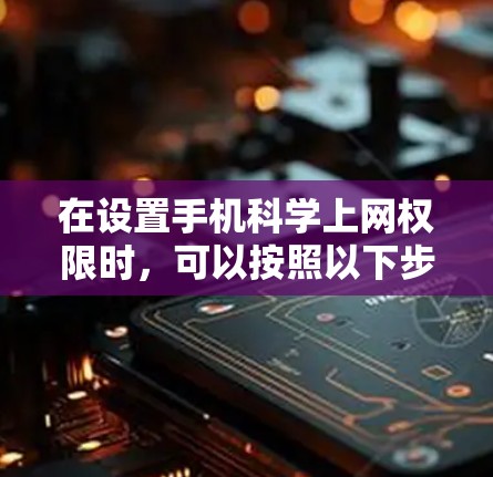 在设置手机科学上网权限时，可以按照以下步骤进行操作