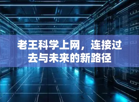 老王科学上网，连接过去与未来的新路径