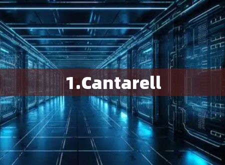 1.Cantarell