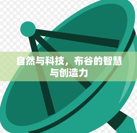 自然与科技，布谷的智慧与创造力
