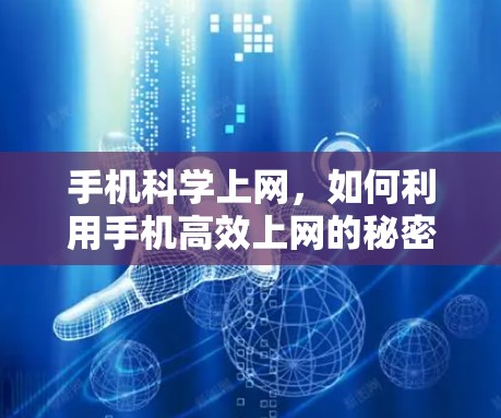 手机科学上网，如何利用手机高效上网的秘密