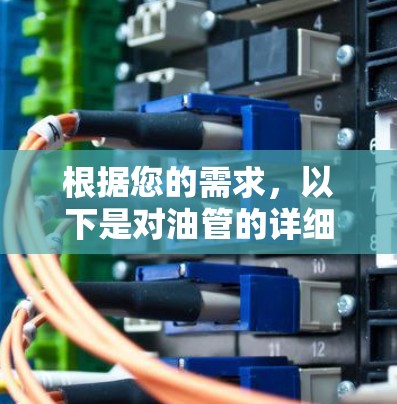 根据您的需求，以下是对油管的详细分类和解释