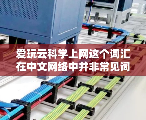 爱玩云科学上网这个词汇在中文网络中并非常见词汇，可能是一个俚语或特定领域内的术语。以下是对该词汇的逐步解释和分析